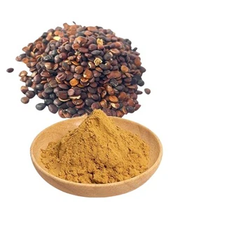 Ziziphus Jujuba Seed Extract
